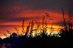 picography-vivid-sunset-silhouette