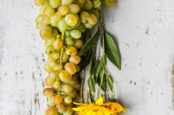 picography-lay-flat-flowers-grapes