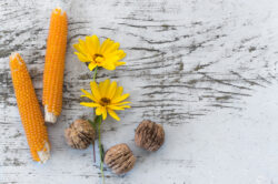 picography-rustic-corn-flowers-walnuts