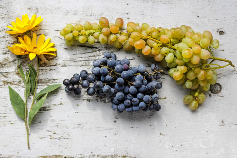 Bloom Blossom Bouquet Flat lay flora floral flowers food Fresh Fruit Garden grapes Healthy nature nutrition Objects Organic rustic still life table texture Wooden woodgrain yellow free photo CC0