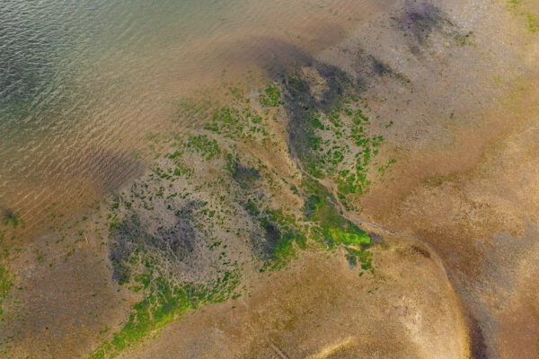 above Abstract Aerial Background Beach Drone land Natural nature Ocean outdoors Sand terrain water Waves wetlands free photo CC0