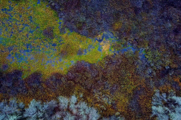 picography-aerial-jade-wetlands-600x400.