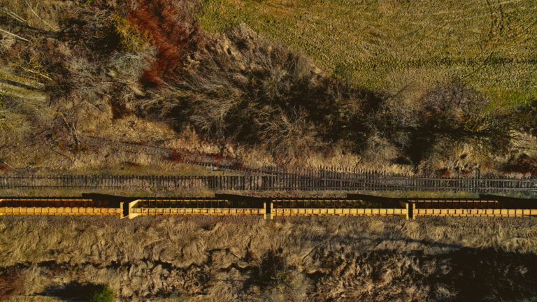 above Abstract Aerial autumn Bare Drone dry Fall grass land rural terrain tracks Train Transport travel trees View free photo CC0