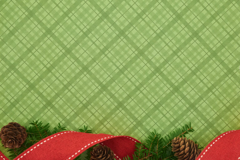 Background backgrounds branches Christmas cones copy space festive Flat lay green Holiday merry Pattern pine plaid red ribbon tree xmas free photo CC0