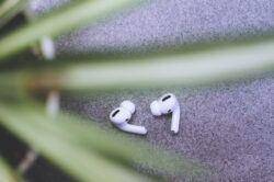 picography-ear-buds-plant