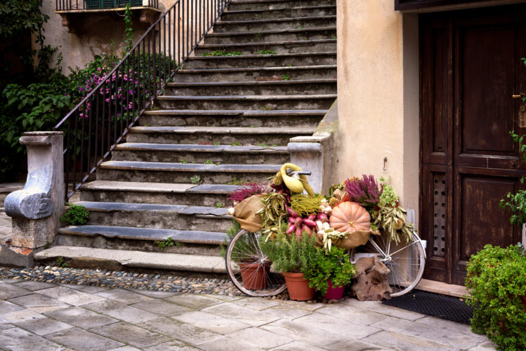 arrangement autumn bicycle Decoration design display doorstep Fall flowers Harvest Objects Plants Stairs free photo CC0
