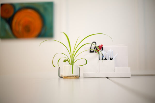 Decor Decoration design Indoor Interior minimal Modern office Painting Plants supplies table vase white free photo CC0