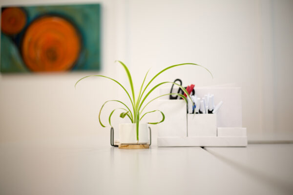  Decor Decoration design Indoor Interior minimal Modern office Painting Plants supplies table vase white free photo CC0