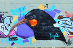 picography-bird-street-art