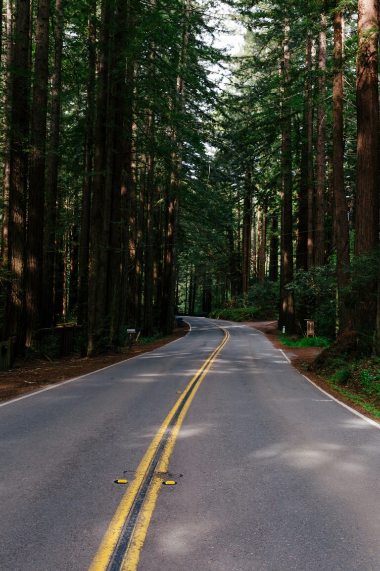 Adventure asphalt Day driving journey landscape mobile wallpaper nature outdoors pavement road trip Scenic terrain travel wanderlust free photo CC0